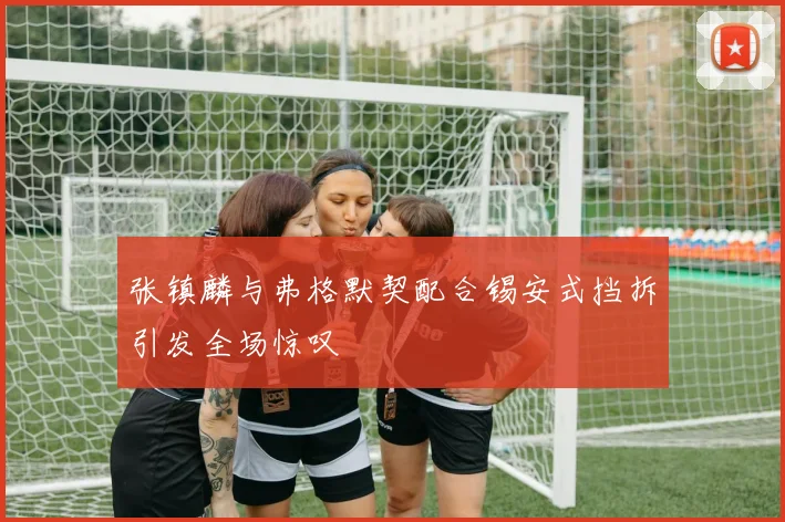 张镇麟与弗格默契配合锡安式挡拆引发全场惊叹