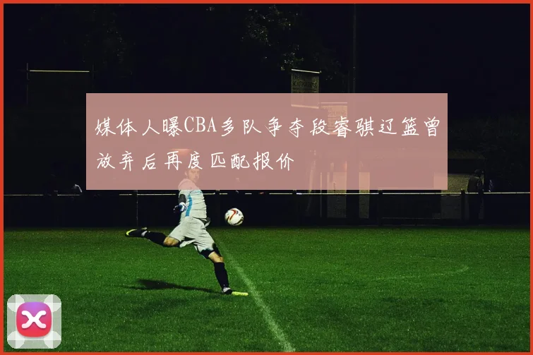 媒体人曝CBA多队争夺段睿骐辽篮曾放弃后再度匹配报价