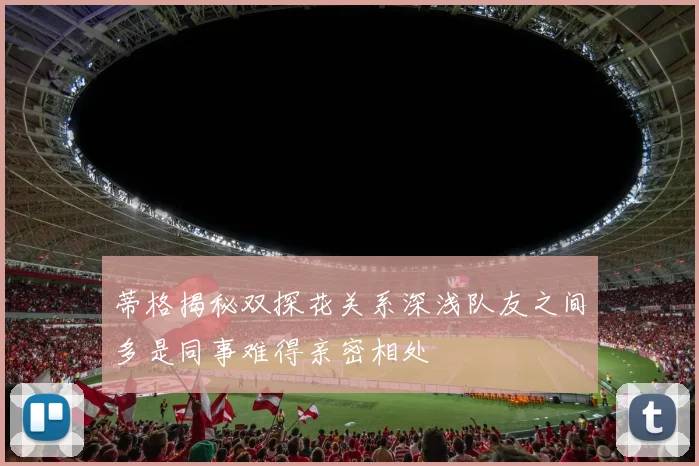 蒂格揭秘双探花关系深浅队友之间多是同事难得亲密相处