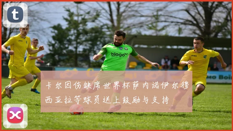 卡尔因伤缺席世界杯萨内诺伊尔穆西亚拉等球员送上鼓励与支持